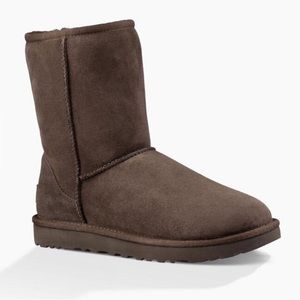 Chocolate Classic Short Ugg boots